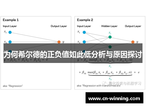 为何希尔德的正负值如此低分析与原因探讨