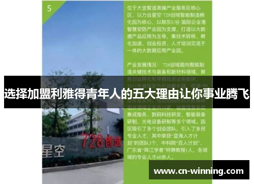 选择加盟利雅得青年人的五大理由让你事业腾飞