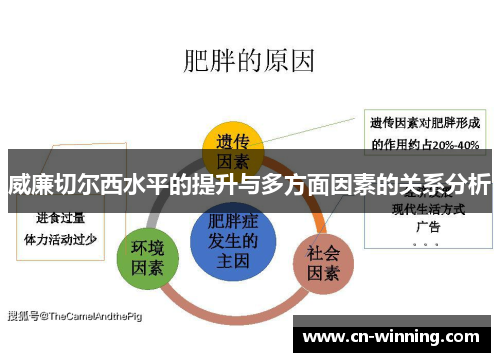威廉切尔西水平的提升与多方面因素的关系分析
