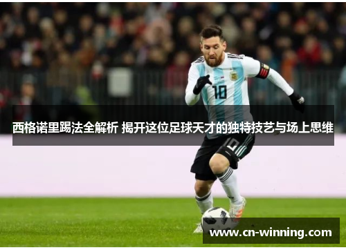 西格诺里踢法全解析 揭开这位足球天才的独特技艺与场上思维